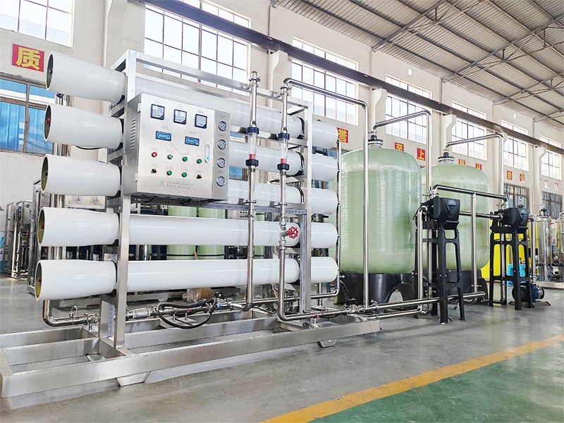 10 T/H Single-Stage Reverse Osmosis Pure Water System