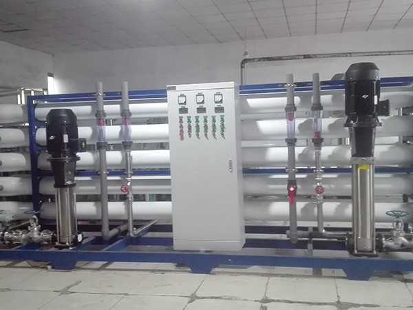 Automatic 20–50 T/H Reverse Osmosis Pure Water System